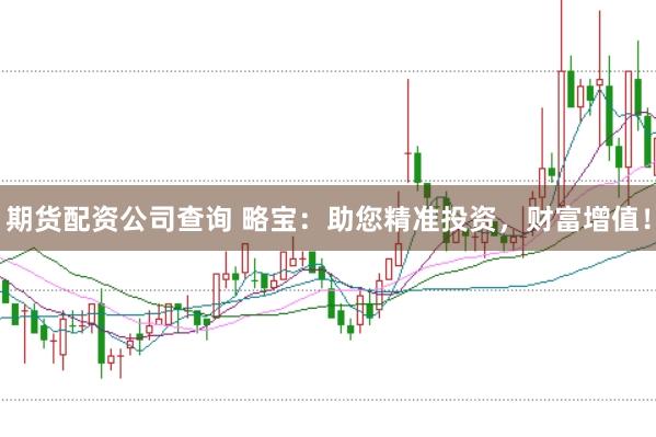 期货配资公司查询 略宝：助您精准投资，财富增值！