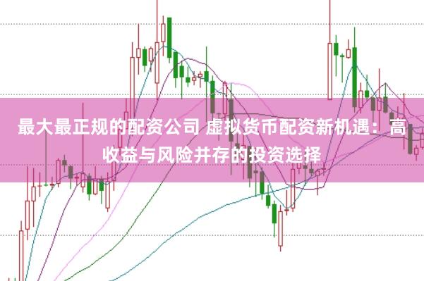 最大最正规的配资公司 虚拟货币配资新机遇：高收益与风险并存的投资选择