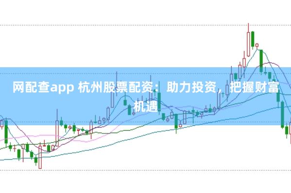 网配查app 杭州股票配资：助力投资，把握财富机遇