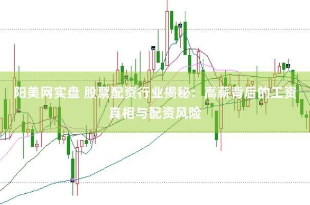 阳美网实盘 股票配资行业揭秘：高薪背后的工资真相与配资风险