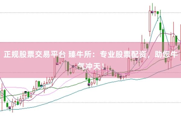 正规股票交易平台 臻牛所：专业股票配资，助您牛气冲天！