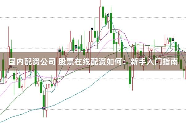 国内配资公司 股票在线配资如何：新手入门指南