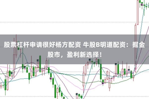股票杠杆申请很好杨方配资 牛股B明道配资：掘金股市，盈利新选择！