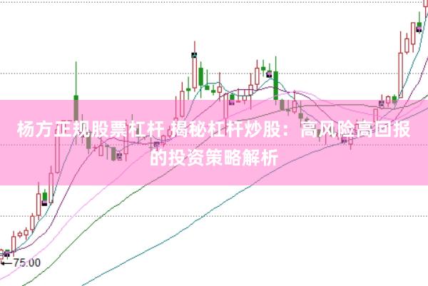 杨方正规股票杠杆 揭秘杠杆炒股：高风险高回报的投资策略解析