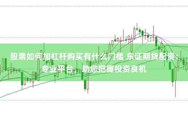 股票如何加杠杆购买有什么门槛 东证期货配资：专业平台，助您把握投资良机