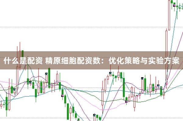 什么是配资 精原细胞配资数：优化策略与实验方案