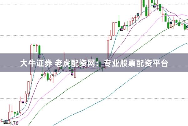大牛证券 老虎配资网：专业股票配资平台