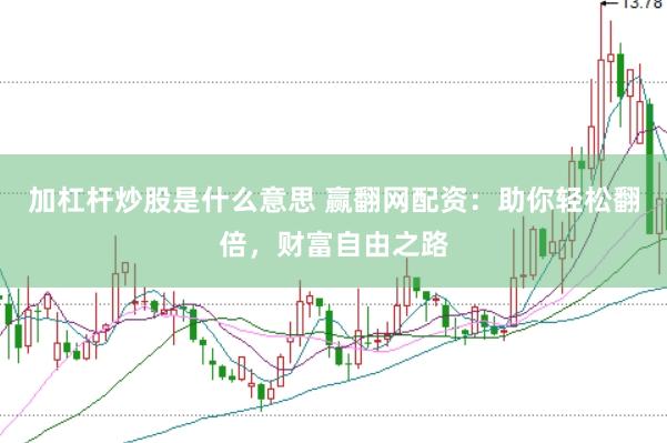 加杠杆炒股是什么意思 赢翻网配资：助你轻松翻倍，财富自由之路