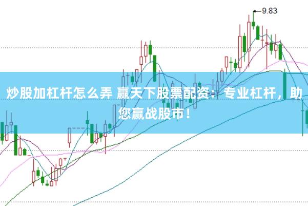 炒股加杠杆怎么弄 赢天下股票配资：专业杠杆，助您赢战股市！