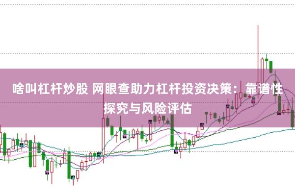 啥叫杠杆炒股 网眼查助力杠杆投资决策：靠谱性探究与风险评估