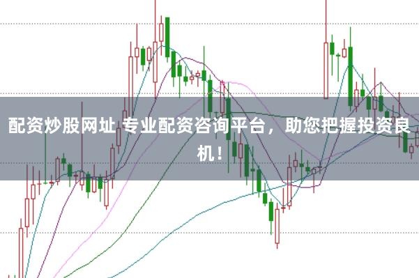 配资炒股网址 专业配资咨询平台，助您把握投资良机！