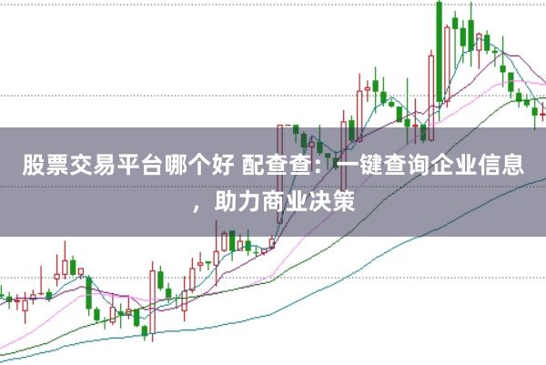 股票交易平台哪个好 配查查：一键查询企业信息，助力商业决策
