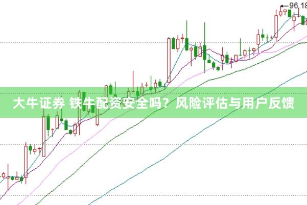 大牛证券 铁牛配资安全吗？风险评估与用户反馈