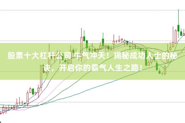 股票十大杠杆公司 牛气冲天！揭秘成功人士的秘诀，开启你的霸气人生之路！