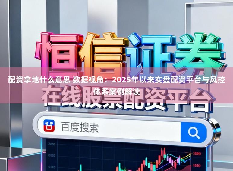 配资拿地什么意思 数据视角：2025年以来实盘配资平台与风控体系案例解读