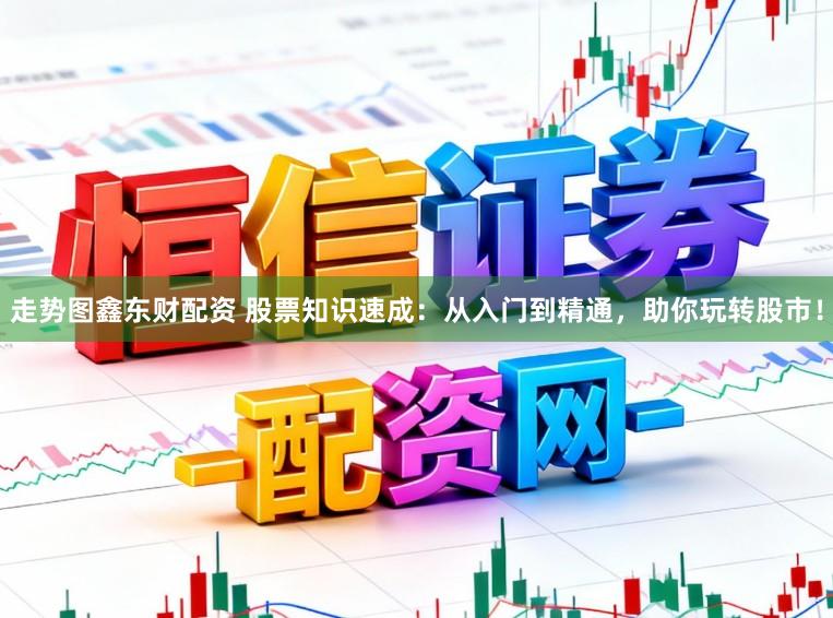 走势图鑫东财配资 股票知识速成：从入门到精通，助你玩转股市！